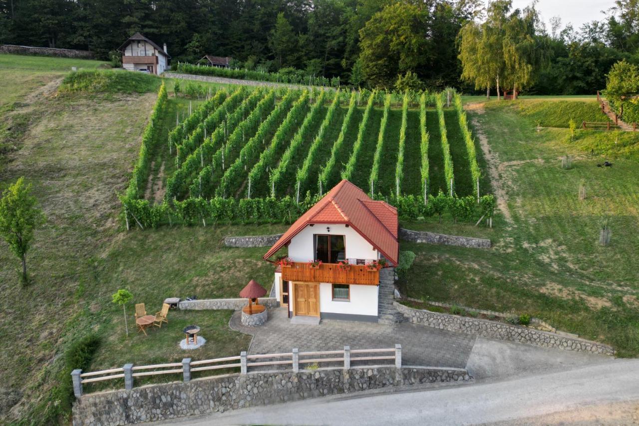 Vineyard Cottage Krivic Trebelno Exterior photo