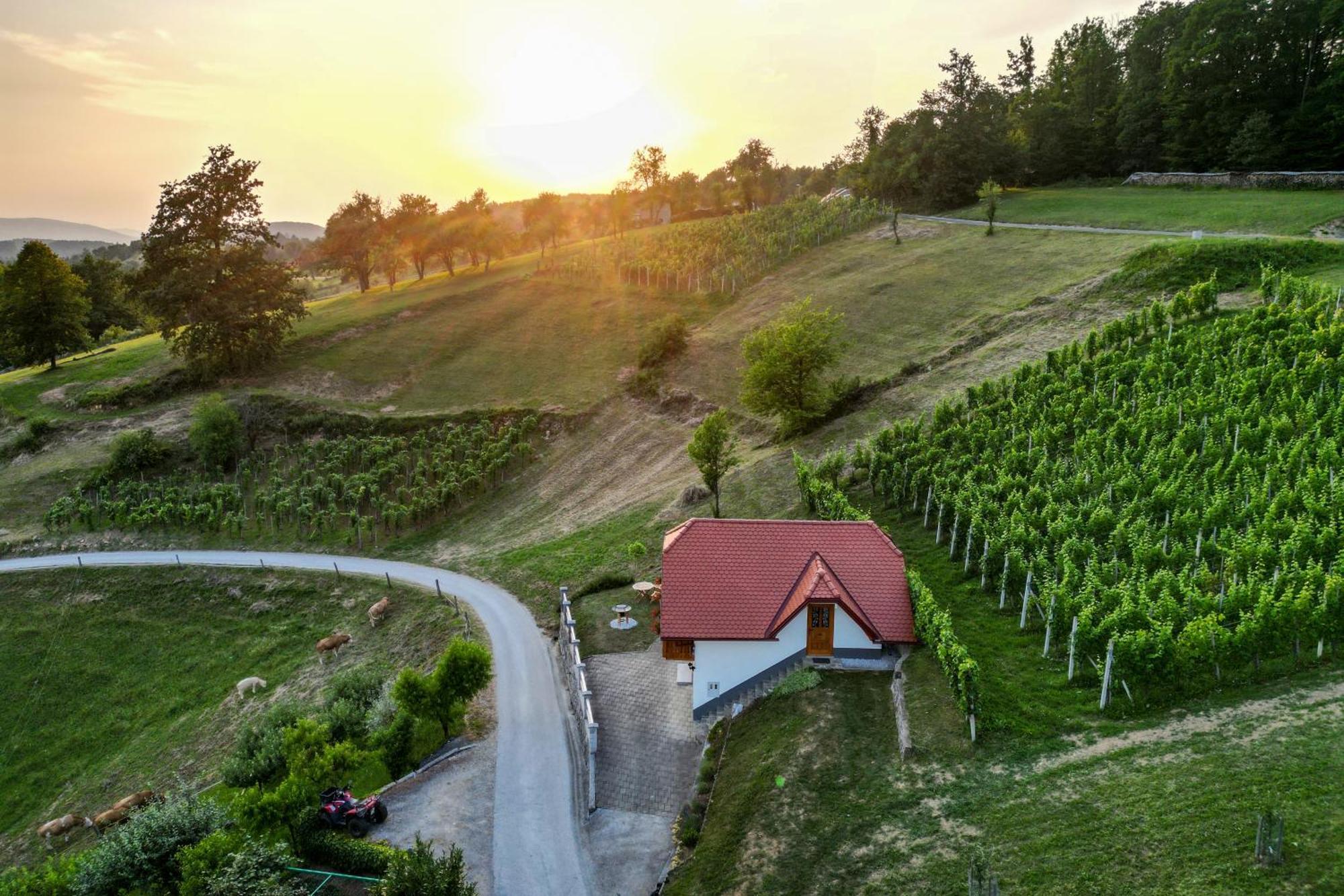 Vineyard Cottage Krivic Trebelno Exterior photo